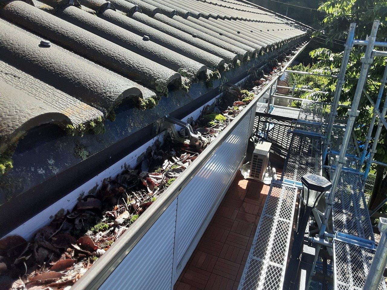 河口湖町雨樋落ち葉